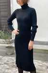 Long knitted dress with a turtleneck in three colors