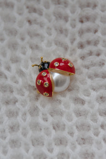  Broška pikapolonica