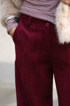 Žametne Hlače v več barvah